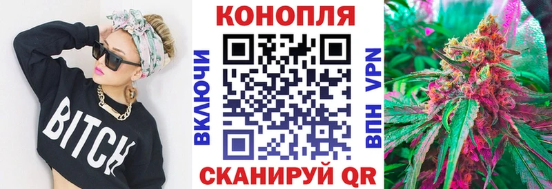 Виды наркотиков купить Бердск ТГК  Псилоцибиновые грибы  A PVP  Конопля  АМФ  ГАШИШ  Меф мяу мяу  Кокаин 